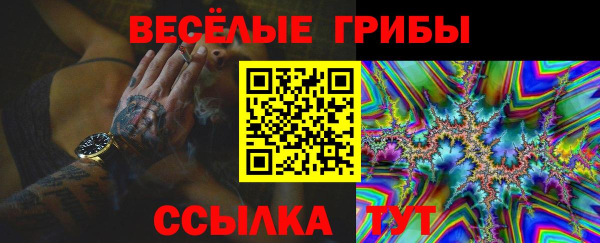 Псилоцибиновые грибы Psilocybe Буйнакск