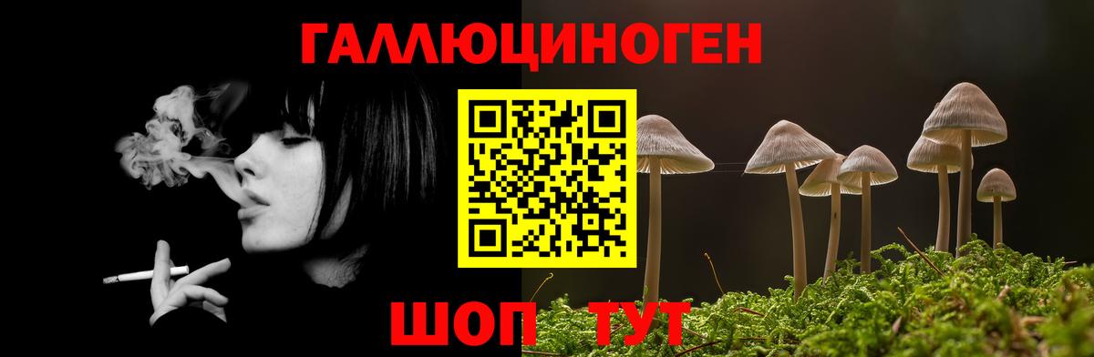 Псилоцибиновые грибы мицелий  Вход с VPN  Псилоцибиновые грибы Psilocybine cubensis  Буйнакск 